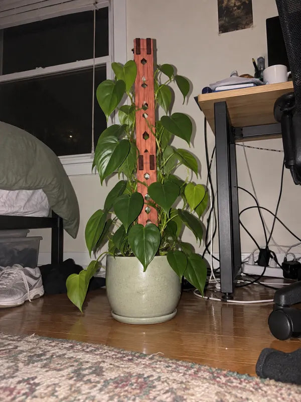 JAKE D. customer photo