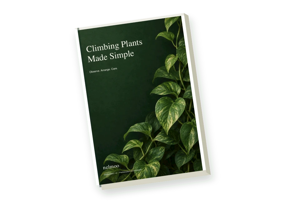 Climbing Plants Made Simple digital content preview