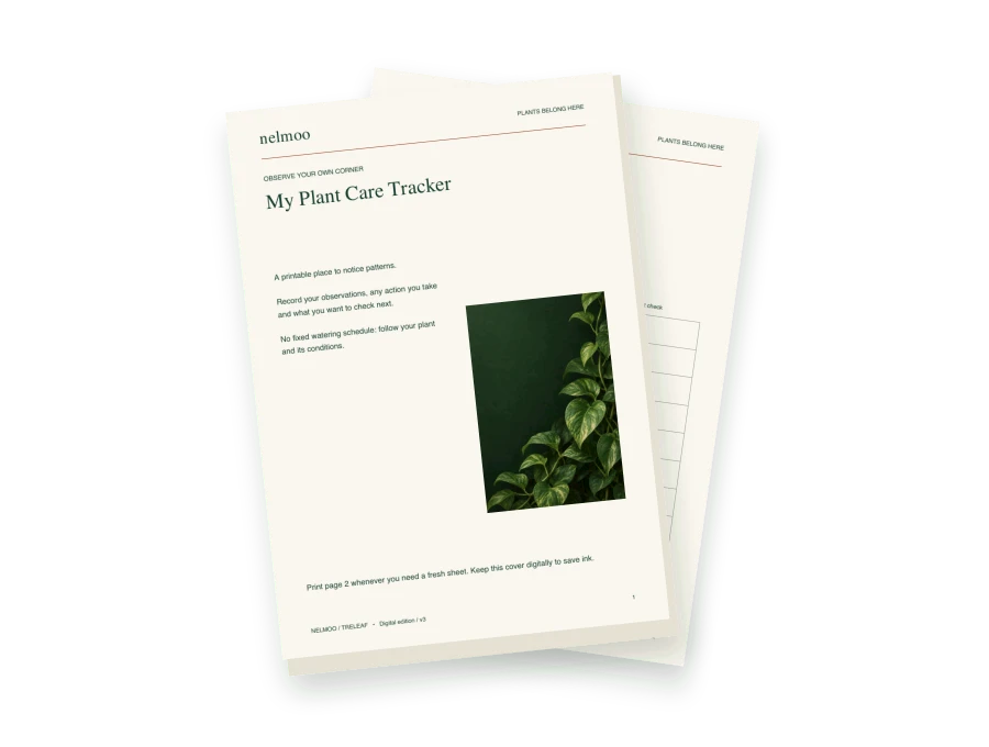 Your plant care tracker digital content preview